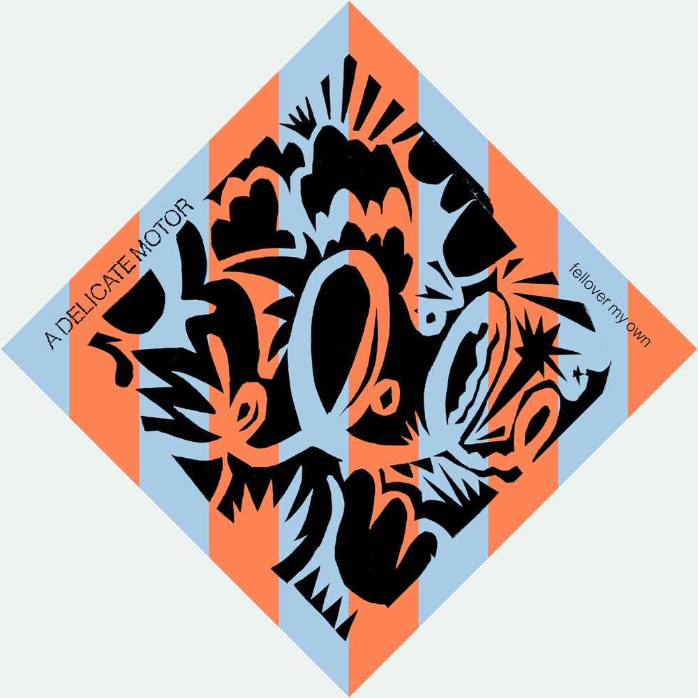 the album cover for Delicate Motor - Fellover My Own