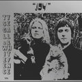 the album cover for Ty Segall - Joy