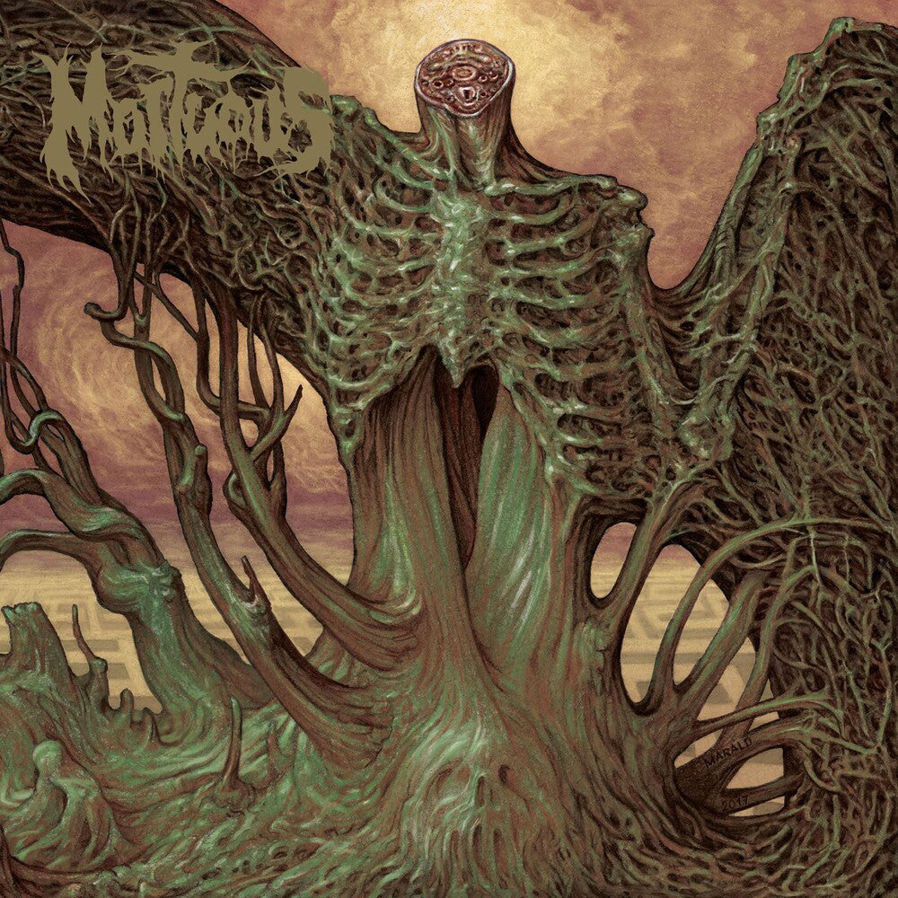 the album cover for Mortuous - Through Wilderness
