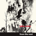 the album cover for Julius Victor - From The Nest