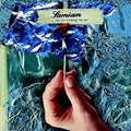 the album cover for Samiam - You Are Freaking Me Out