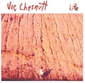 the album cover for Vic Chesnutt - Little [Remastered LP]