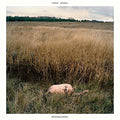 the album cover for Sinai Vessel - Brokenlegged