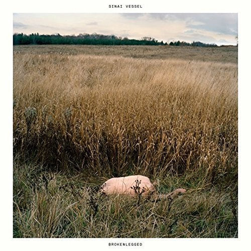 the album cover for Sinai Vessel - Brokenlegged