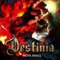 the album cover for Destinia - Metal Souls