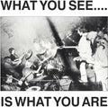 the album cover for Here & Now & Alternative Tv - What You See Is What You Are