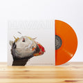 the album cover for Collections of Colonies of Bees - Hawaii