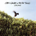 the album cover for Chris Wollard & The Ship Thieves - Canyons