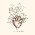 the album cover for Lori Mckenna - Tree