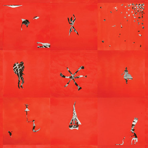 the album cover for Animal Collective - Hollindagain [LP]