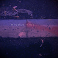 the album cover for Middle Kids - Middle Kids