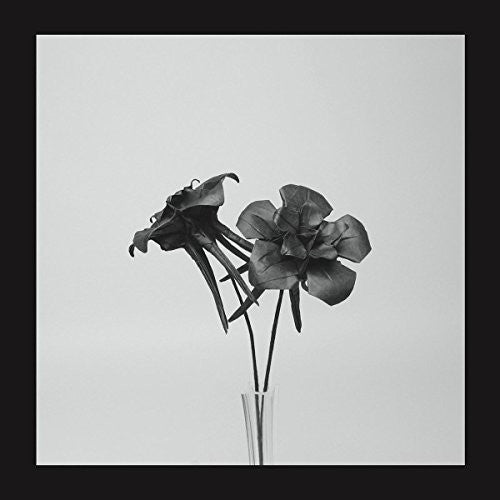 the album cover for Jlin - Dark Lotus [Vinyl Single]