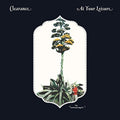 the album cover for Clearance - At Your Leisure