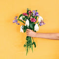 the album cover for Decade - Pleasantries [LP]