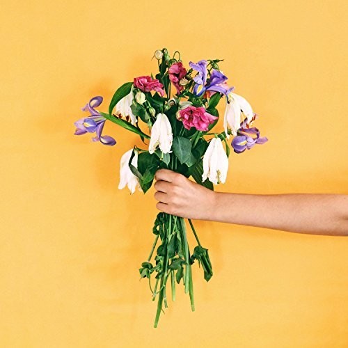 the album cover for Decade - Pleasantries [LP]
