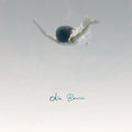 the album cover for Dia Frampton - Bruises