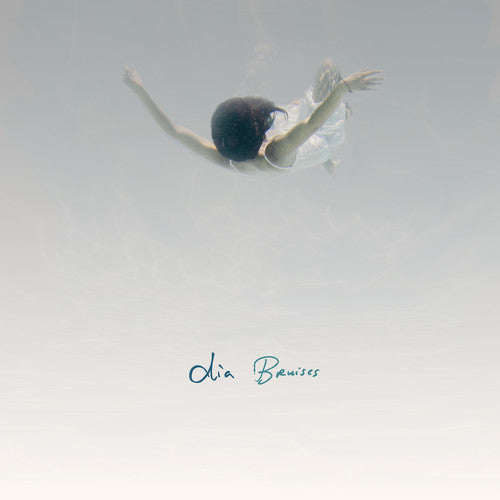the album cover for Dia Frampton - Bruises