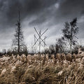 the album cover for Wiegedood - De Doden Hebben Het Goed I