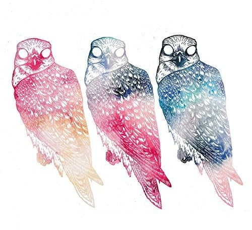 the album cover for Flyying Colours - Mindfullness