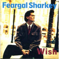 the album cover for Feargal Sharkey - Wish