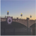 the album cover for The Early November - Fifteen Years [Vinyl]