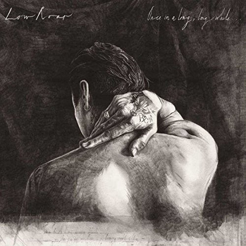 the album cover for Low Roar - Once In A Long, Long While...