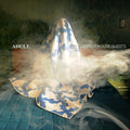 the album cover for ADULT. - Detroit House Guests