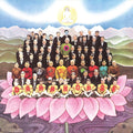 the album cover for George Harrison - Dark Horse [LP]