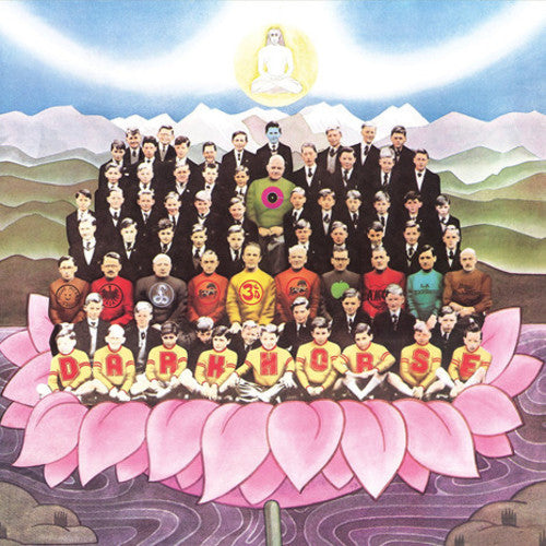 the album cover for George Harrison - Dark Horse [LP]