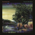 the album cover for Fleetwood Mac - Tango In The Night
