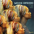 the album cover for Jean Jacques Perrey - Moog Indigo [LP]