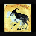 the album cover for Camaron De La Isla - Potro De Rabia Y Miel