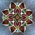 the album cover for Arbouretum - Song Of The Rose [Download Included]