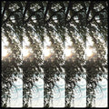 the album cover for Pontiak - Dialectic Of Ignorance