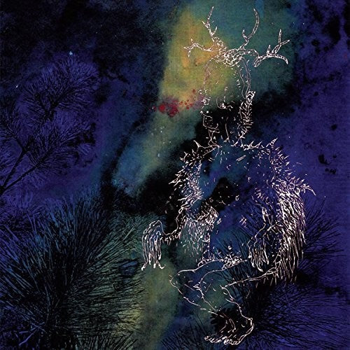 the album cover for Bardo Pond - Under The Pines