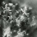 the album cover for Jacaszek - KWIATY