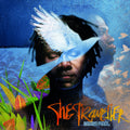 the album cover for Baaba Maal - Traveller [Download Included]