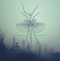 the album cover for Winter Family - South From Here