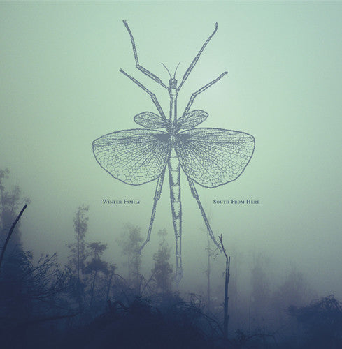 the album cover for Winter Family - South From Here