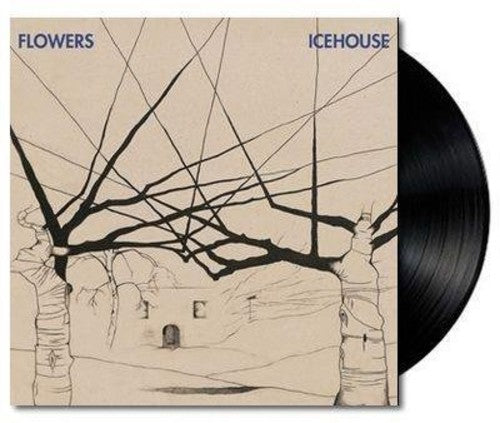 the album cover for Icehouse Aka Flowers - Icehouse