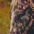 the album cover for SPIRIT OF THE BEEHIVE - Pleasure Suck [LP]