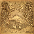 the album cover for Drew Holcomb & The Neighbors - Souvenir [LP]