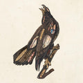 the album cover for Clutch - Book Of Bad Decisions [Limited Edition Picture Disc LP]