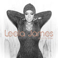 the album cover for Leela James - Did It For Love