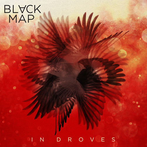 the album cover for Black Map - In Droves