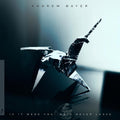 the album cover for Andrew Bayer - Andrew Bayer - If It Were You We'd Never Leave