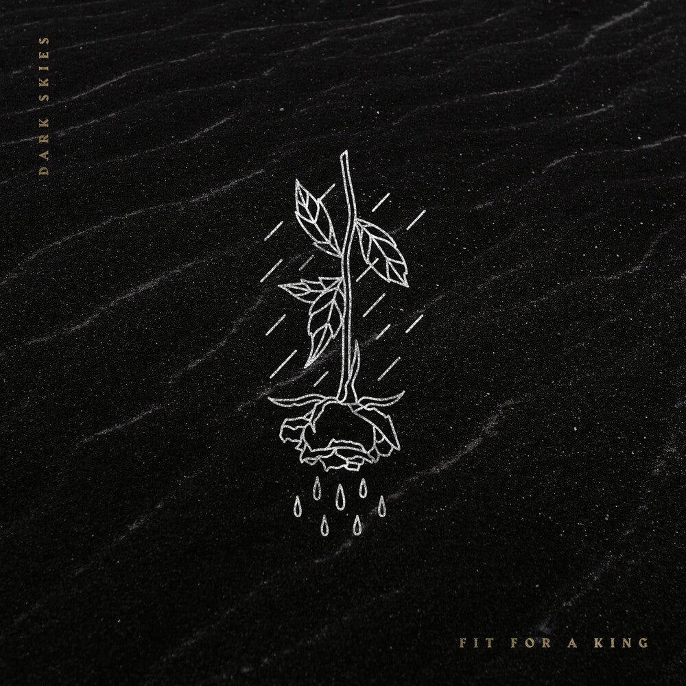 the album cover for Fit For A King - Dark Skies [LP]