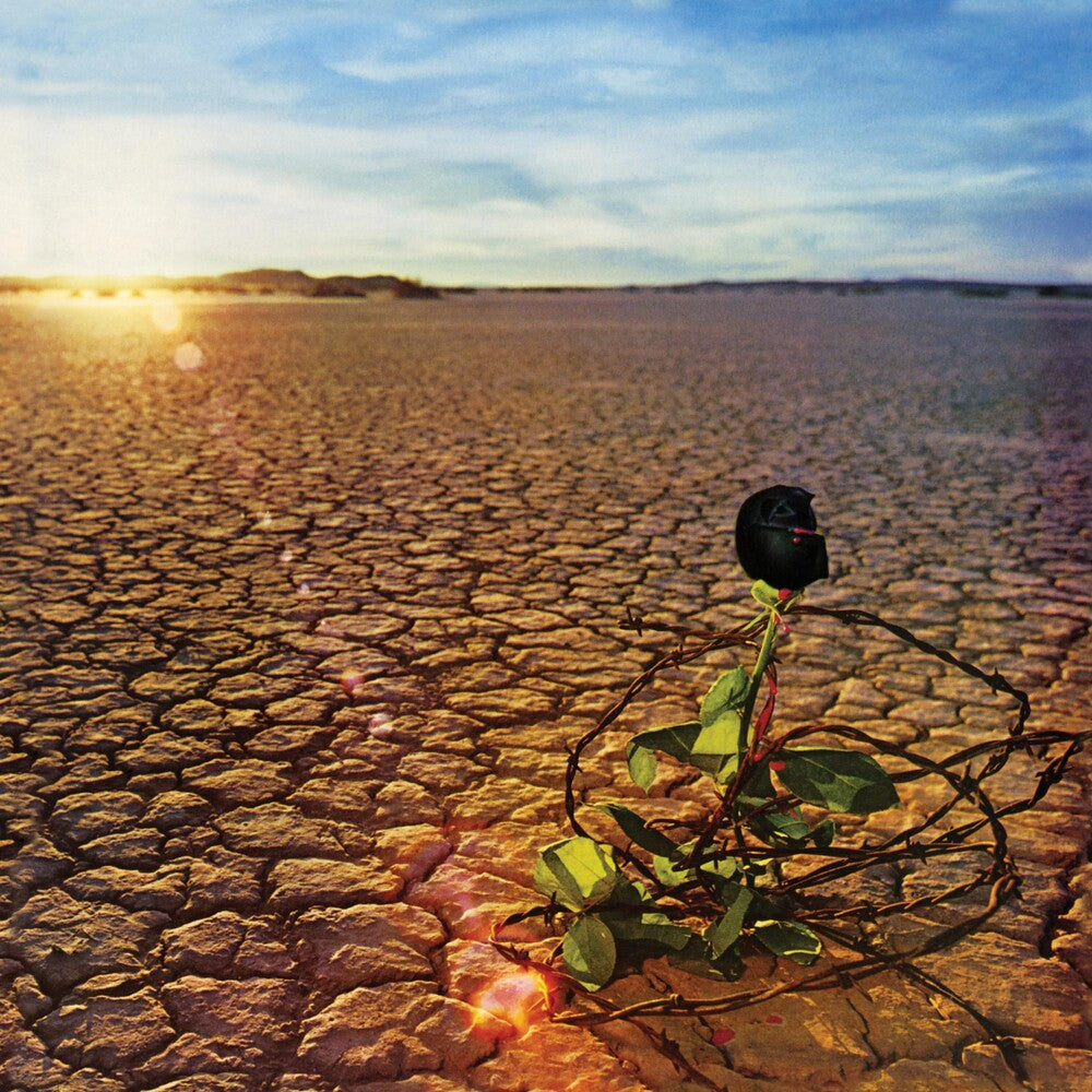the album cover for J Souther D - Black Rose