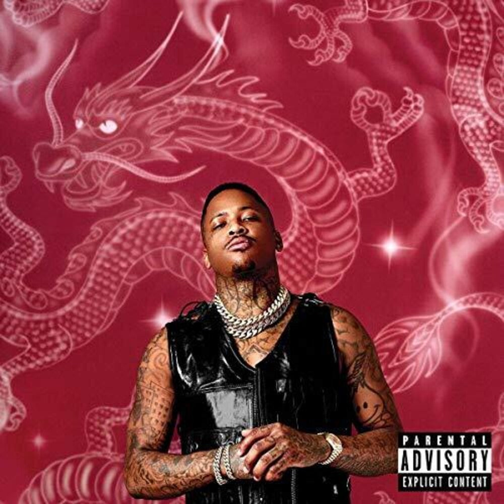 the album cover for YG - Stay Dangerous [Import LP]
