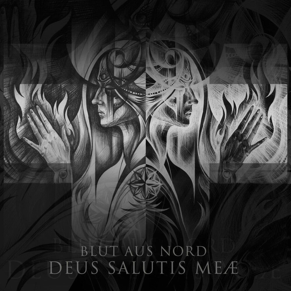 the album cover for Blut Aus Nord - Deus Salutis Meae